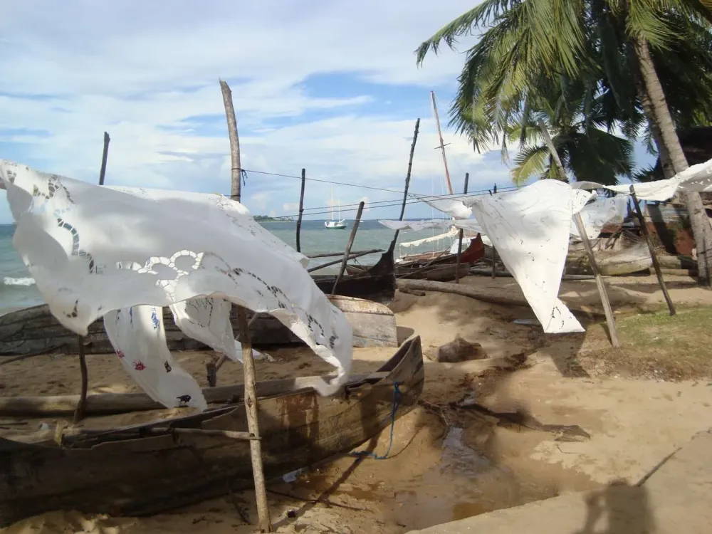 les-célèbres-nappewebp