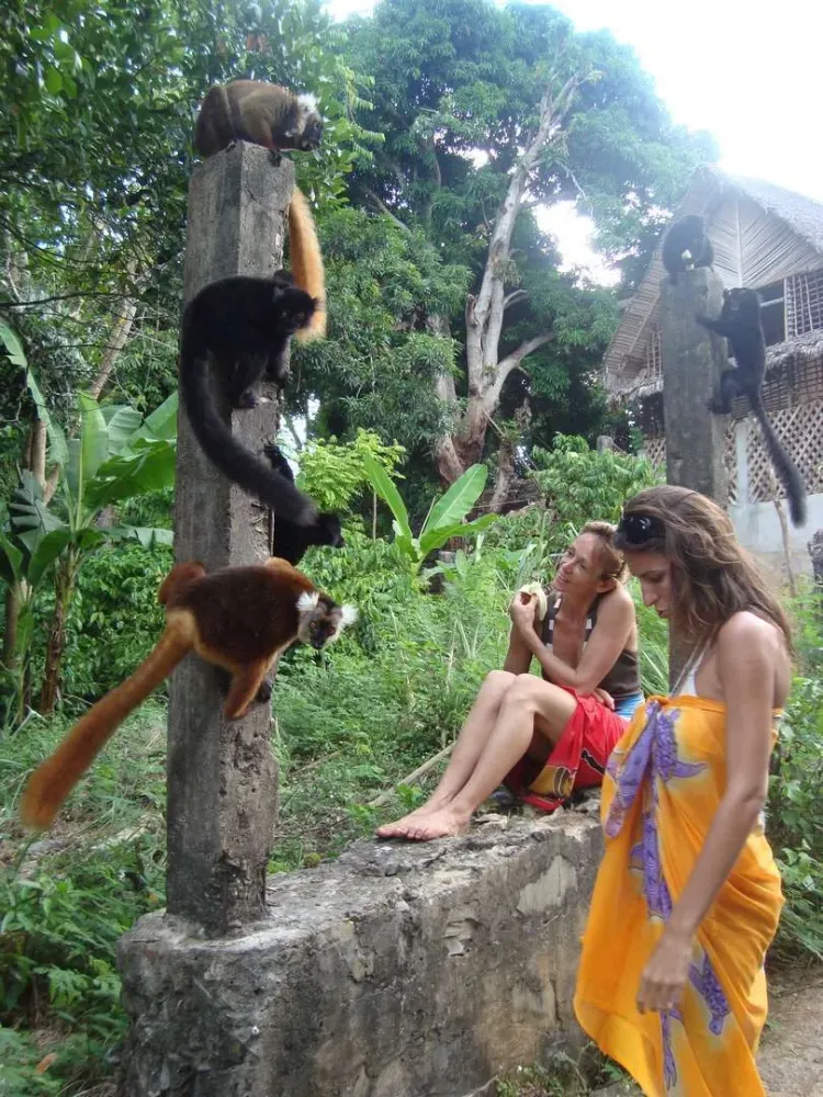 Makis-en-semi libertéwebp