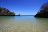 Seul-au-monde-Moramba